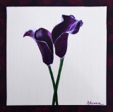Arômes - Fleurs et Natures Mortes